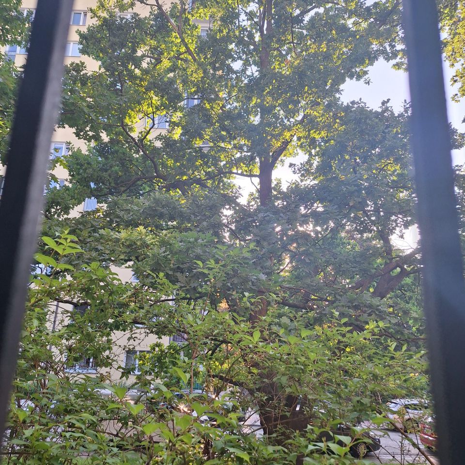 Mieszkanie 1-pokojowe Warszawa Rakowiec, ul. Sanocka. Zdjęcie 10
