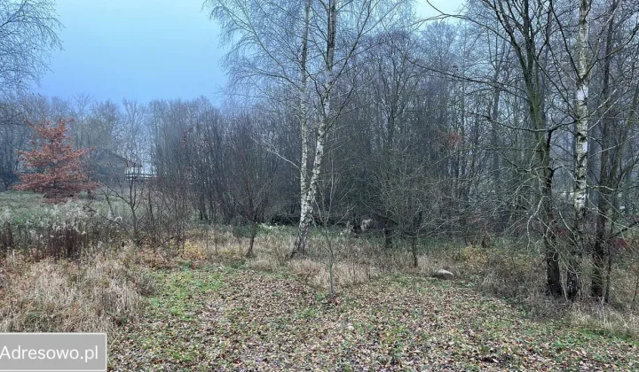 Działka rekreacyjna Nasy