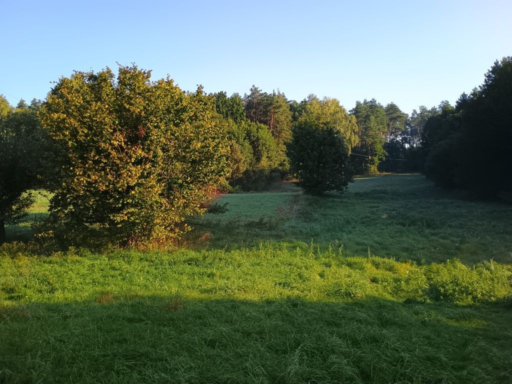 Działka rolno-budowlana Franciszkowo. Zdjęcie 5