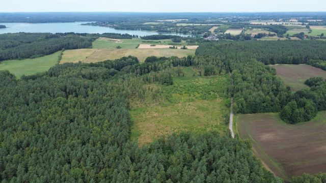 Działka budowlana Dąbrowica. Zdjęcie 26