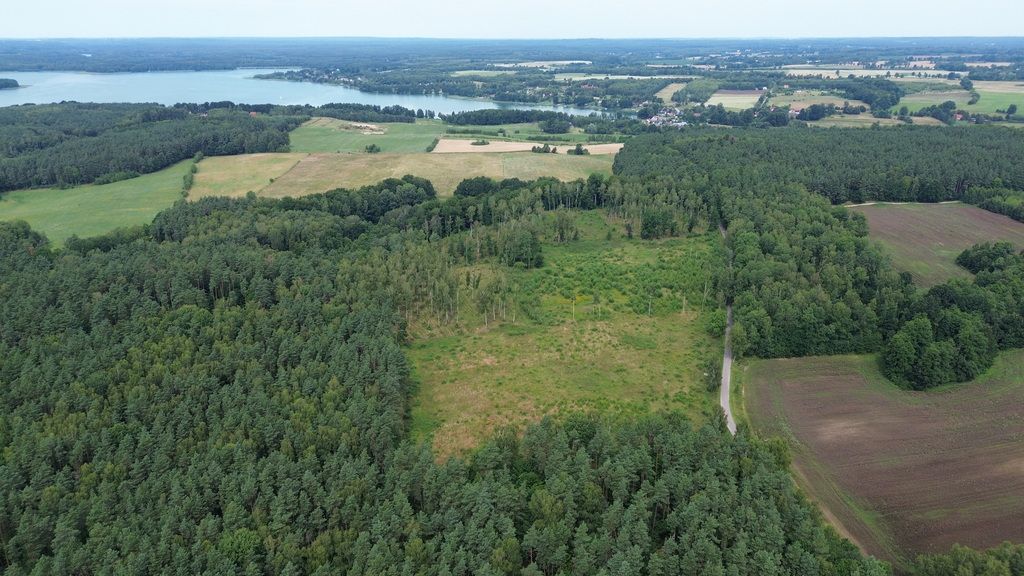 Działka budowlana Dąbrowica. Zdjęcie 26