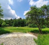 Działka inwestycyjna Białka. Zdjęcie 1