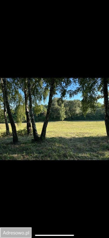 Działka budowlana Jedwabno. Zdjęcie 7