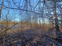 Działka rolna Krągłe. Zdjęcie 3