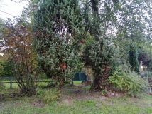 Działka rod Słowik. Zdjęcie 3