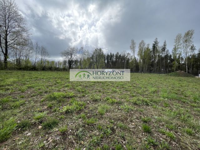 Działka Kamień. Zdjęcie 7