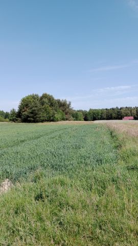 Działka rolno-budowlana Kamionka Zagrody. Zdjęcie 1