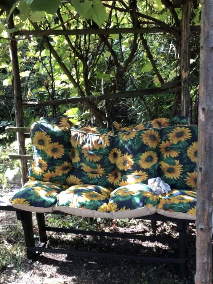 Działka rod Nowa Dęba. Zdjęcie 3