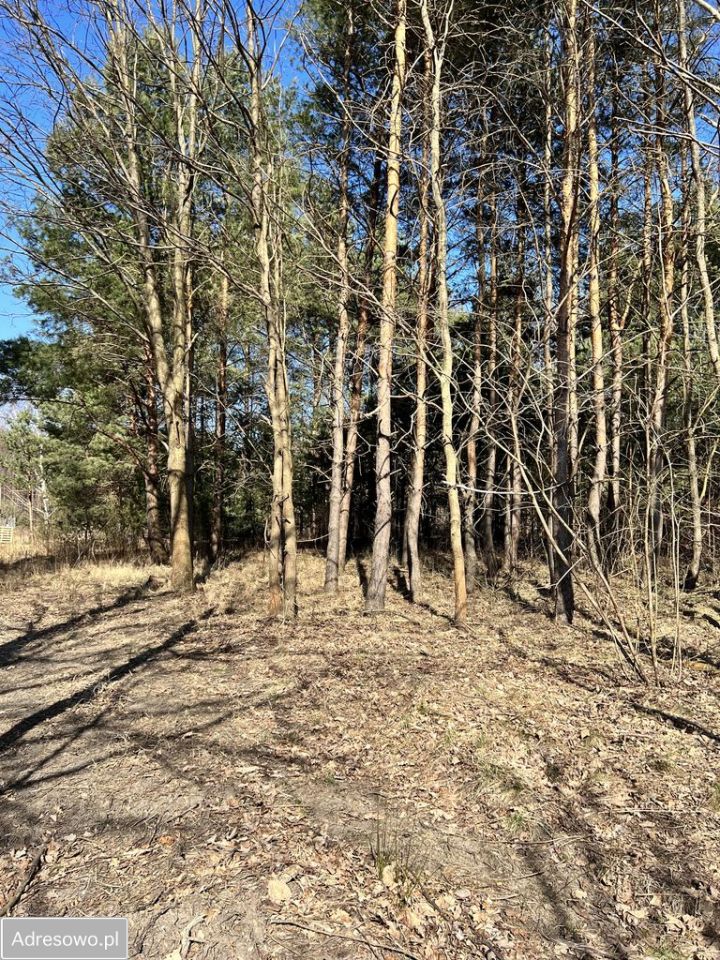 Działka budowlana Szczęsne, ul. Szpacza. Zdjęcie 2