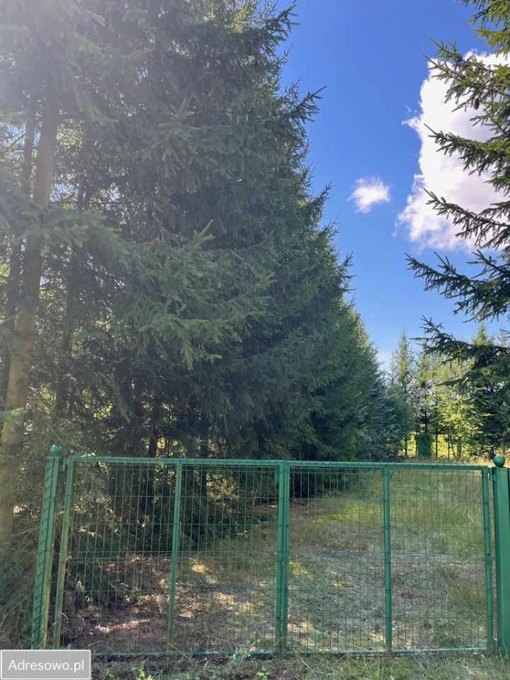 Działka rekreacyjna Rodowo Małe. Zdjęcie 5