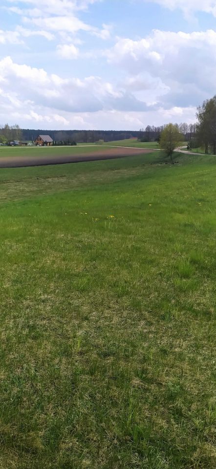 Działka Grauże Nowe. Zdjęcie 7