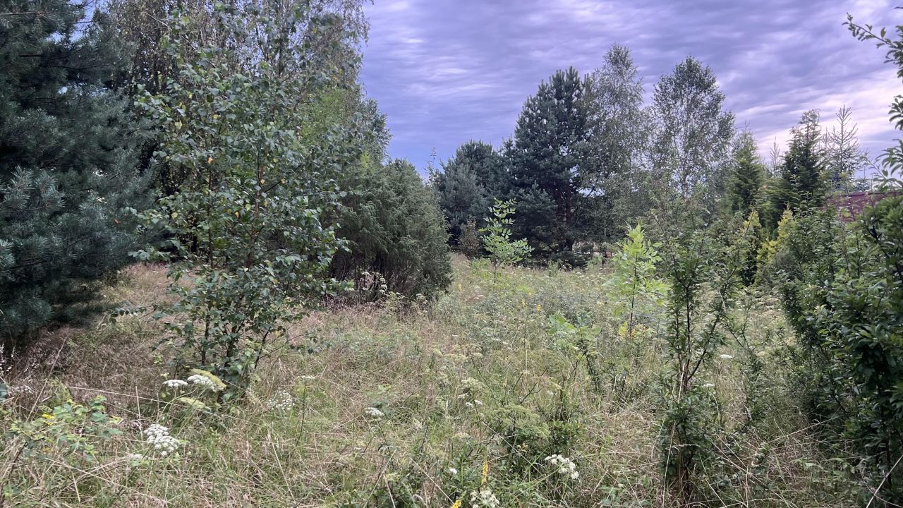 Działka budowlana Łutowiec. Zdjęcie 3