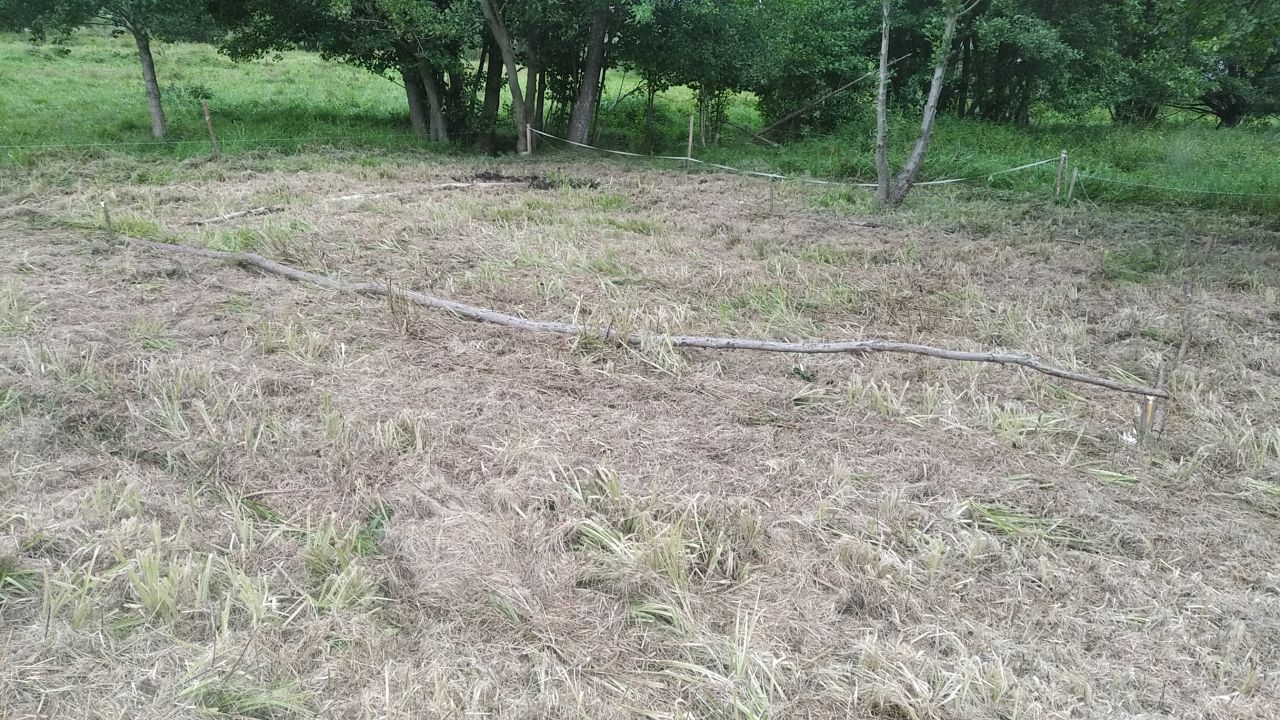 Działka budowlana Gorzeszów. Zdjęcie 4