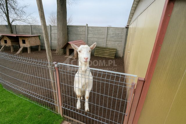 dom wolnostojący, 6 pokoi Rudki. Zdjęcie 22