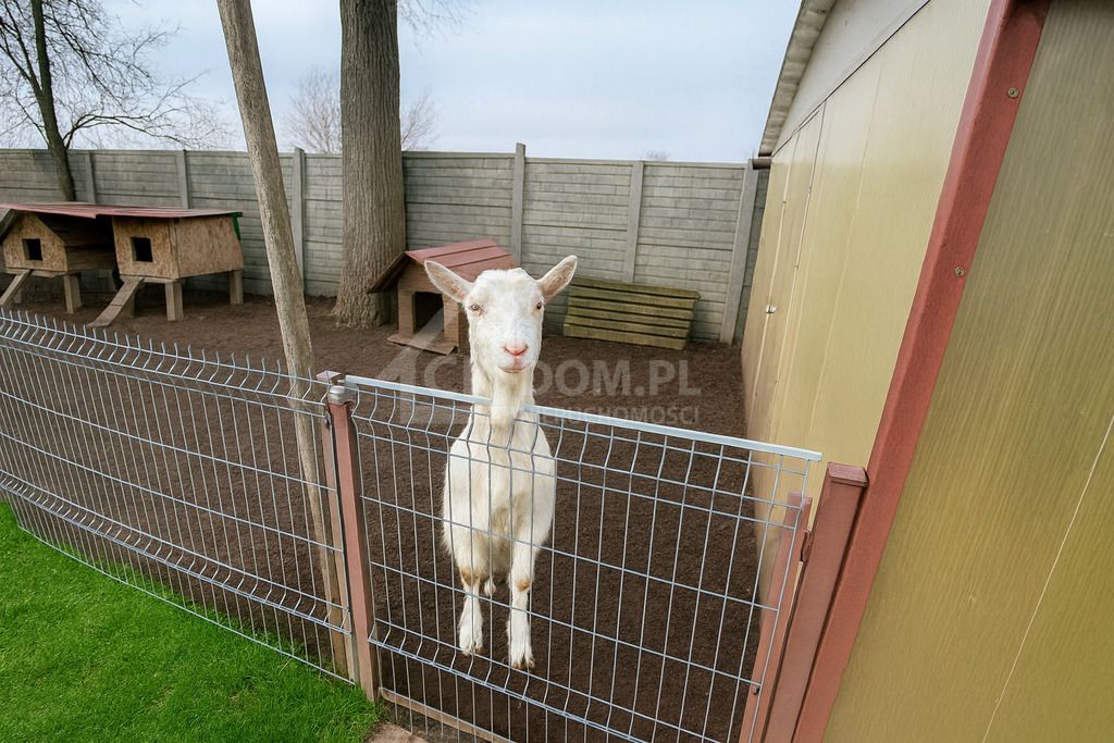 dom wolnostojący, 6 pokoi Rudki. Zdjęcie 22