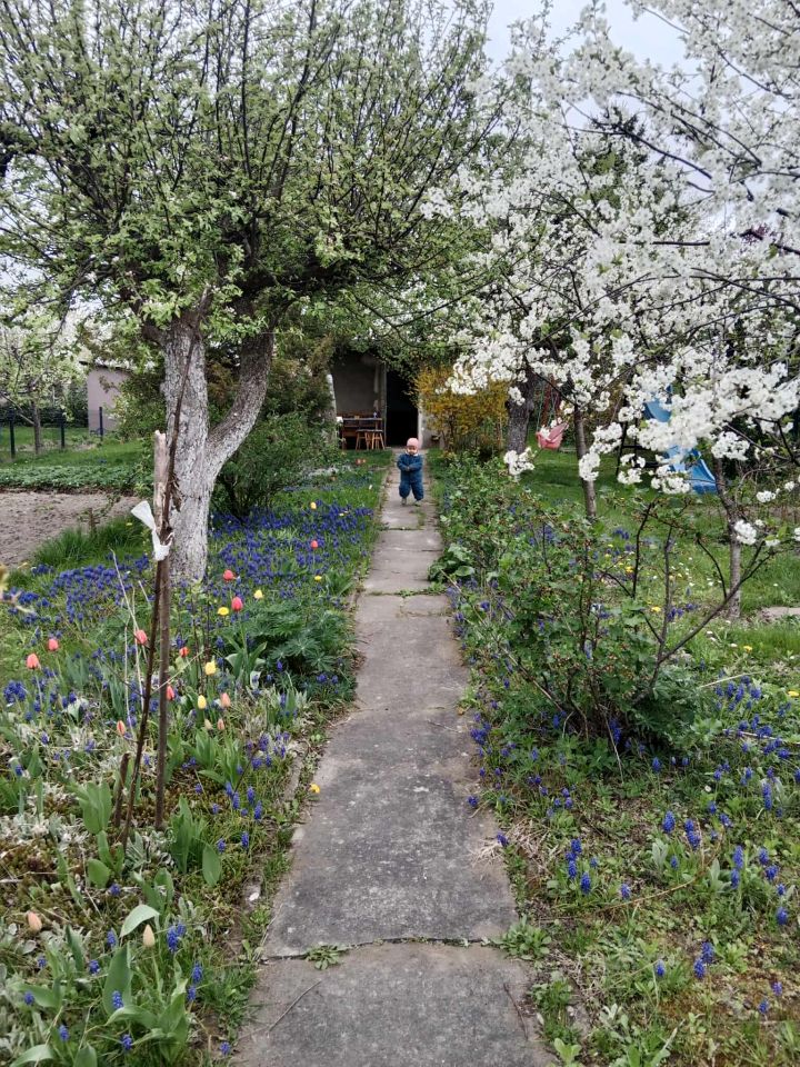 Działka rod Gdańsk Chełm, ul. Zamiejska. Zdjęcie 7