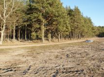 Działka rolno-budowlana Łążek, ul. Piwna. Zdjęcie 2