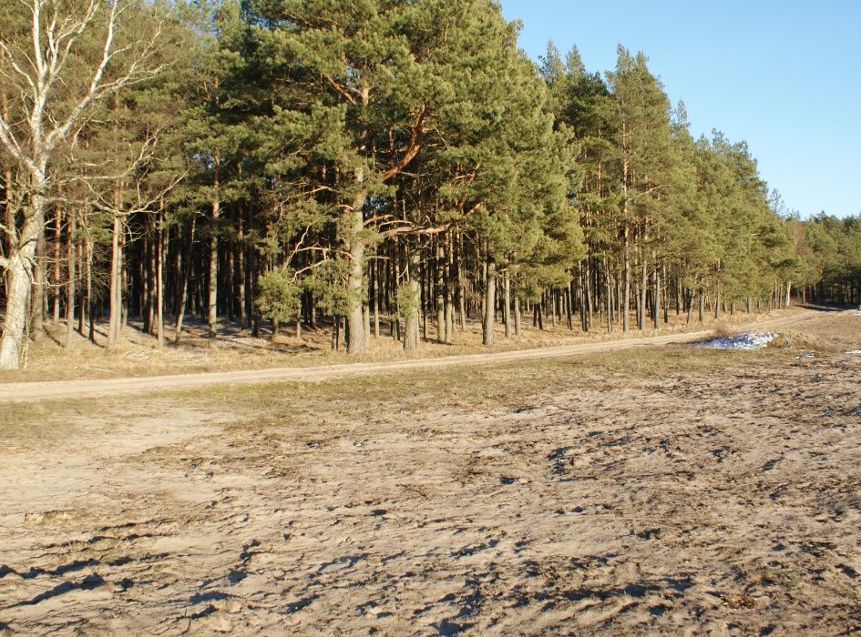 Działka rolno-budowlana Łążek, ul. Piwna. Zdjęcie 3