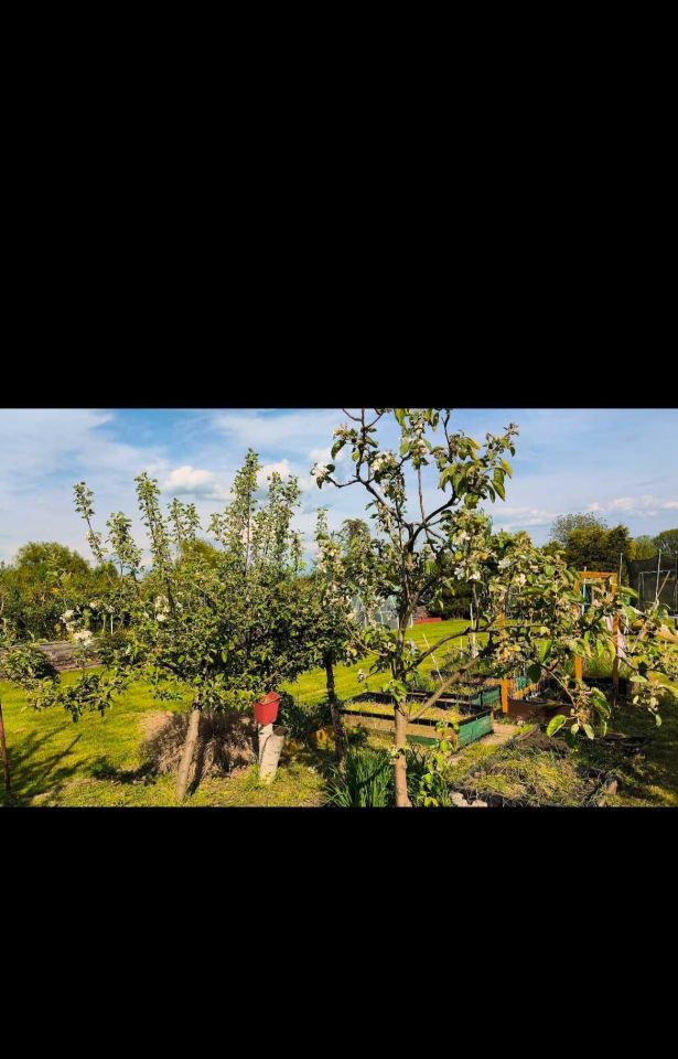 Działka rod Kluczbork. Zdjęcie 2