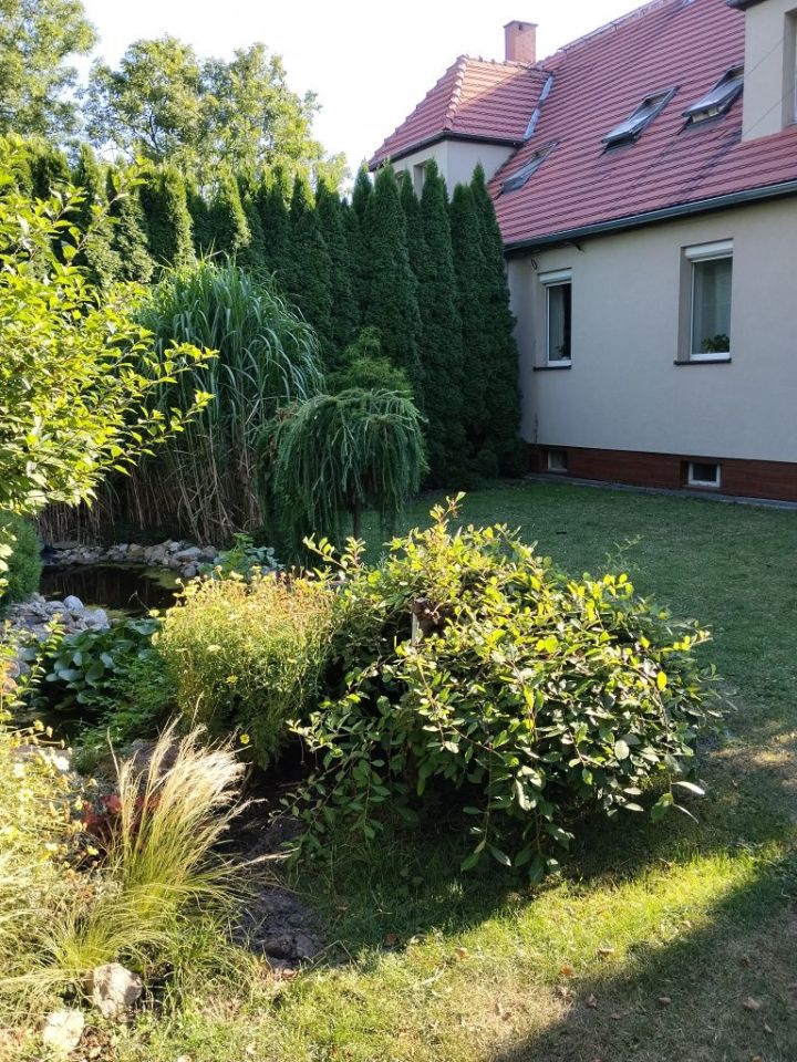 Mieszkanie 3-pokojowe Goświnowice. Zdjęcie 8