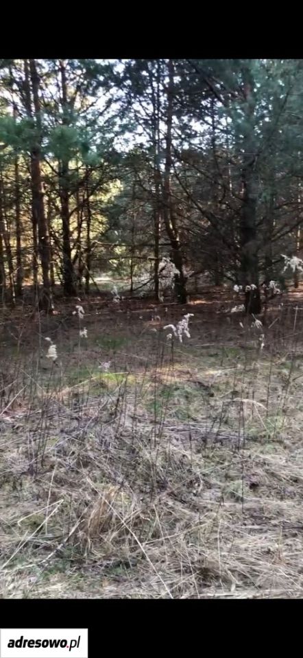 Działka rolno-budowlana Lubnów, ul. Szkolna. Zdjęcie 6