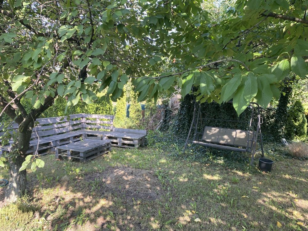 Działka rod Września, ul. Działkowców. Zdjęcie 4