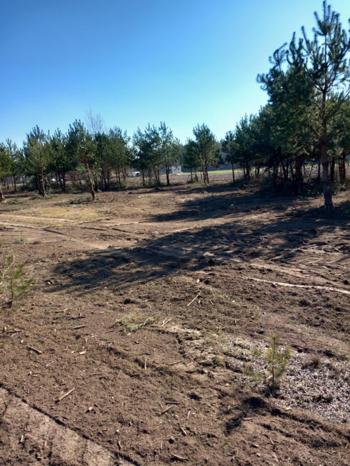 Działka rolno-budowlana Gucin. Zdjęcie 19