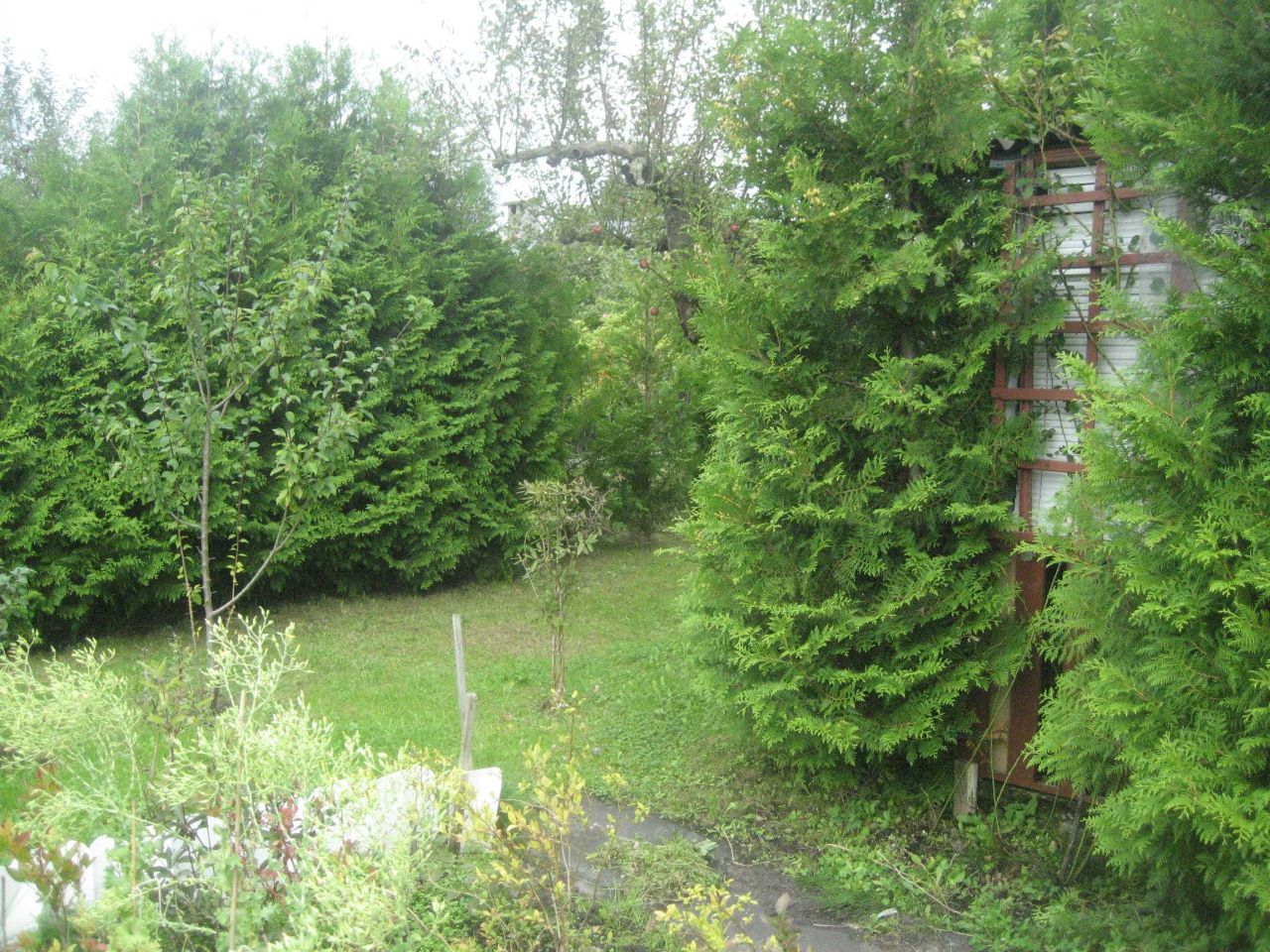 Działka rod Piła, ul. Szymanowskiego. Zdjęcie 8