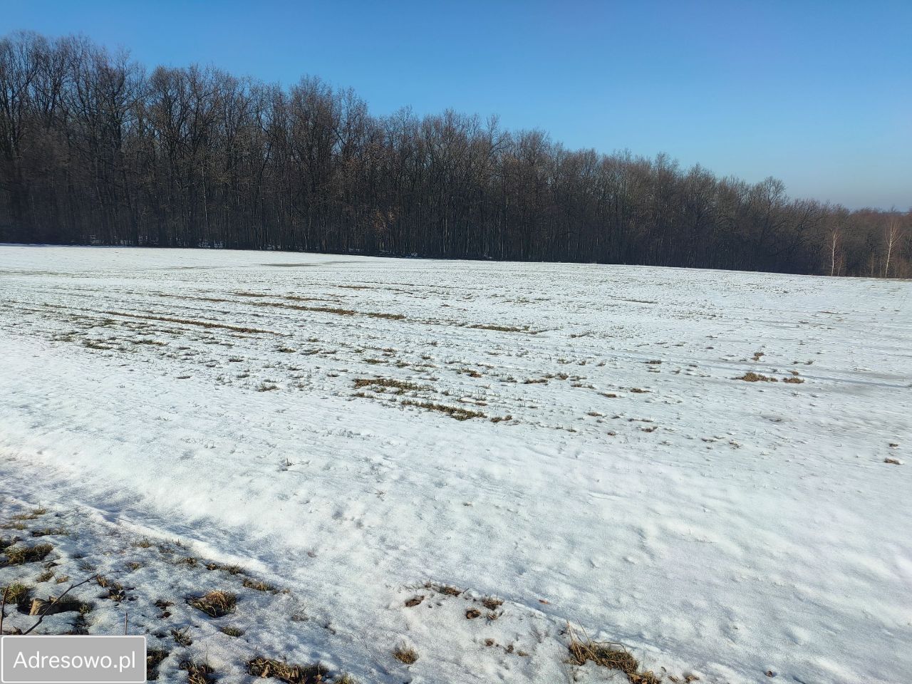 Działka budowlana Celiny. Zdjęcie 13