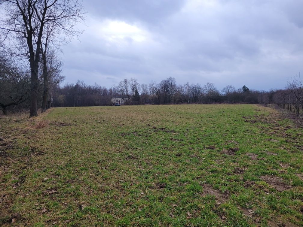 Działka rolna Markowola-Kolonia. Zdjęcie 2