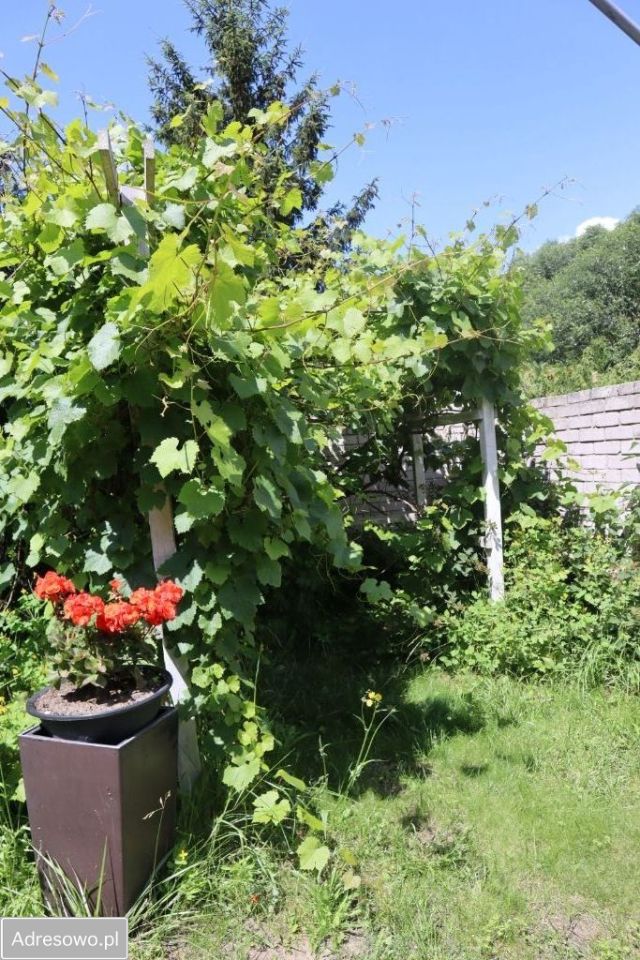 bliźniak, 9 pokoi Recz, ul. Henryka Sienkiewicza. Zdjęcie 9