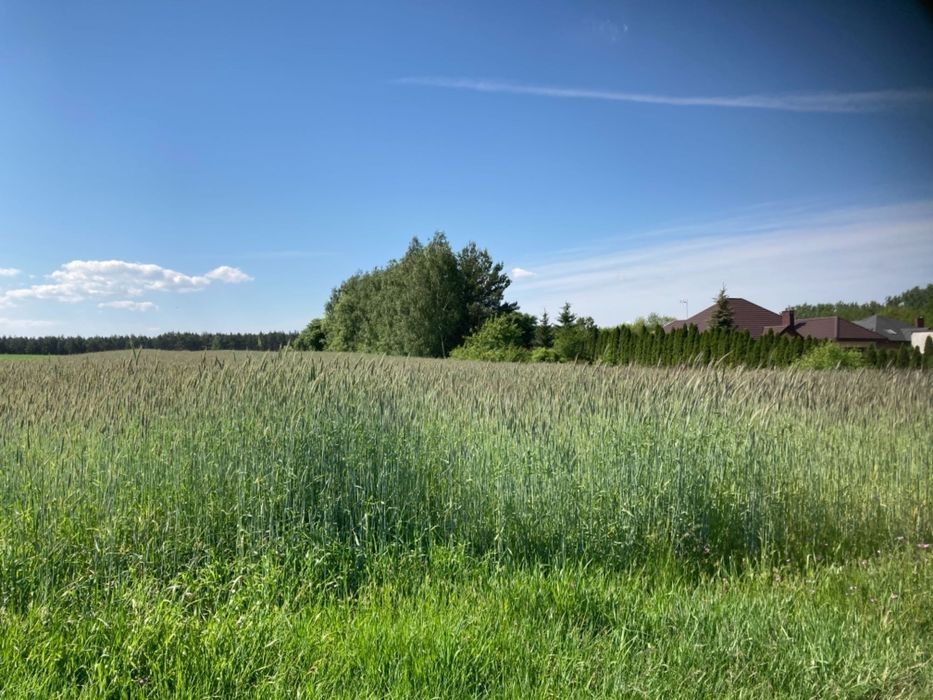 Działka rolno-budowlana Łask, ul. Jana Kilińskiego. Zdjęcie 2