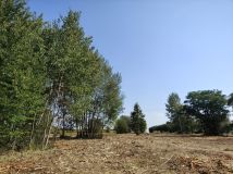 Działka budowlana Jabłonna Pierwsza. Zdjęcie 4