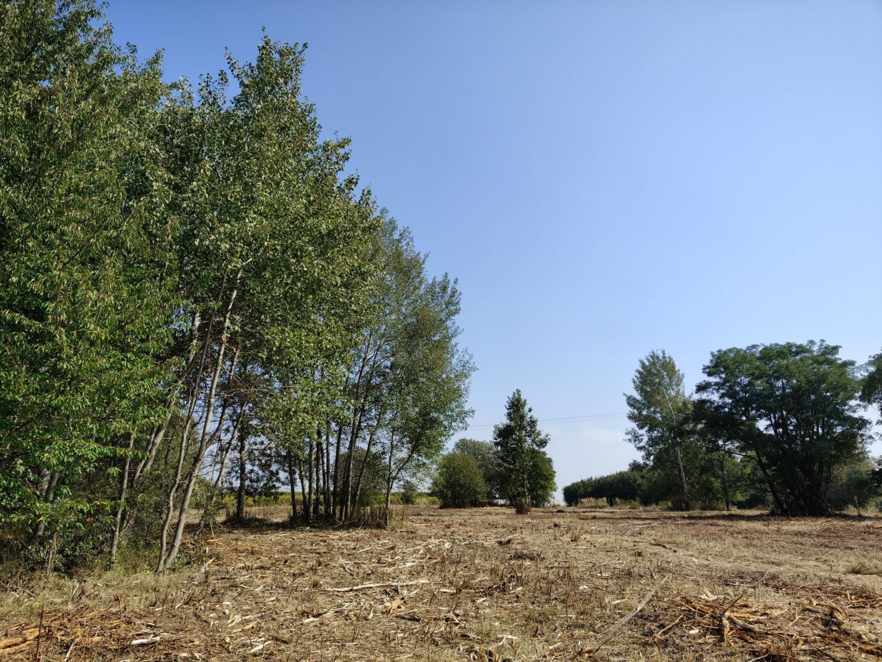 Działka budowlana Jabłonna Pierwsza. Zdjęcie 5