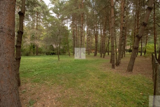 Działka rekreacyjna Radawa. Zdjęcie 8