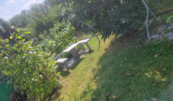 Działka rod Świdnica, ul. Tenisowa