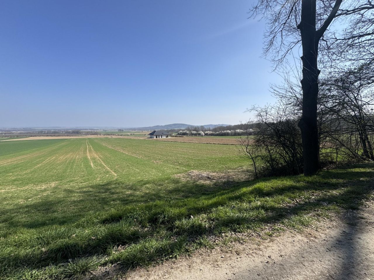 Działka budowlana Strzegomiany. Zdjęcie 9