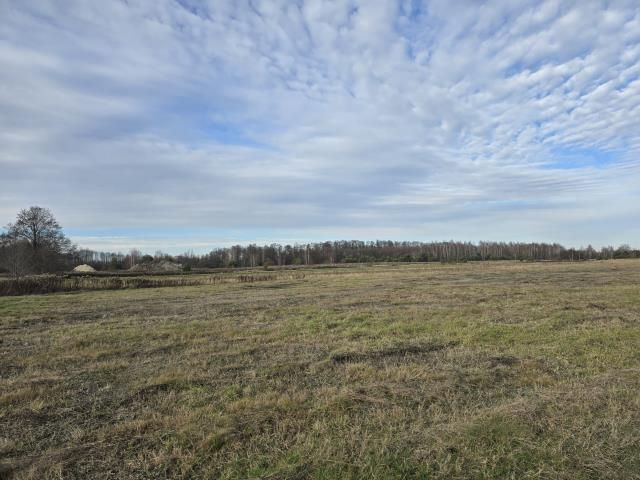 Działka rolna Duczki. Zdjęcie 3