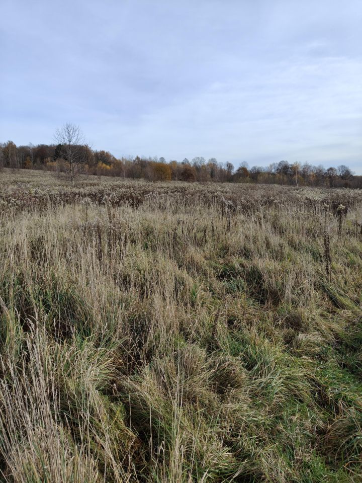 Działka rolna Ubocze. Zdjęcie 2