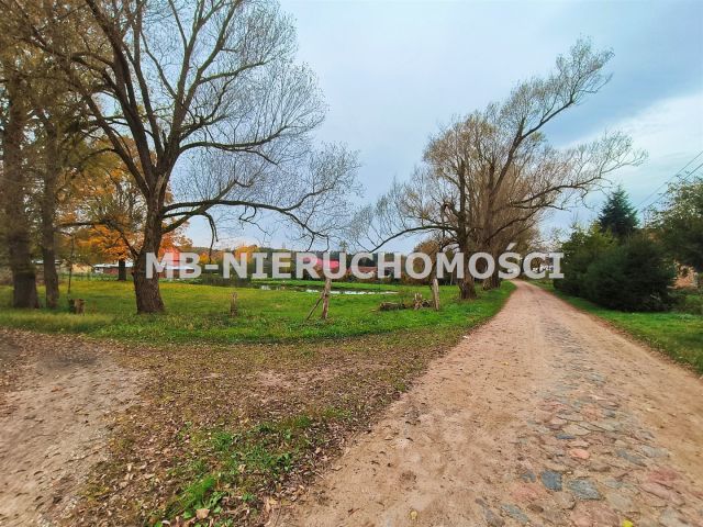 Działka rolna Mingajny. Zdjęcie 4