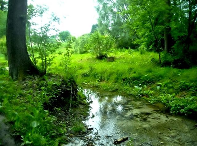 Działka rolna Wólka Szczecka. Zdjęcie 1