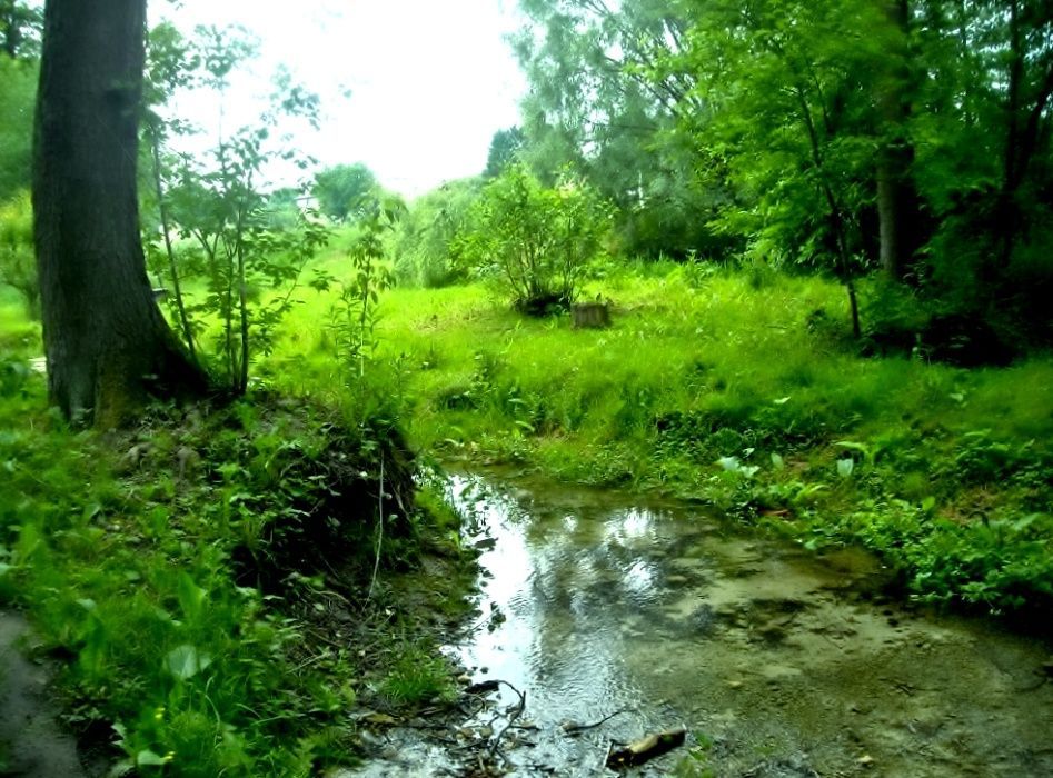 Działka rolna Wólka Szczecka