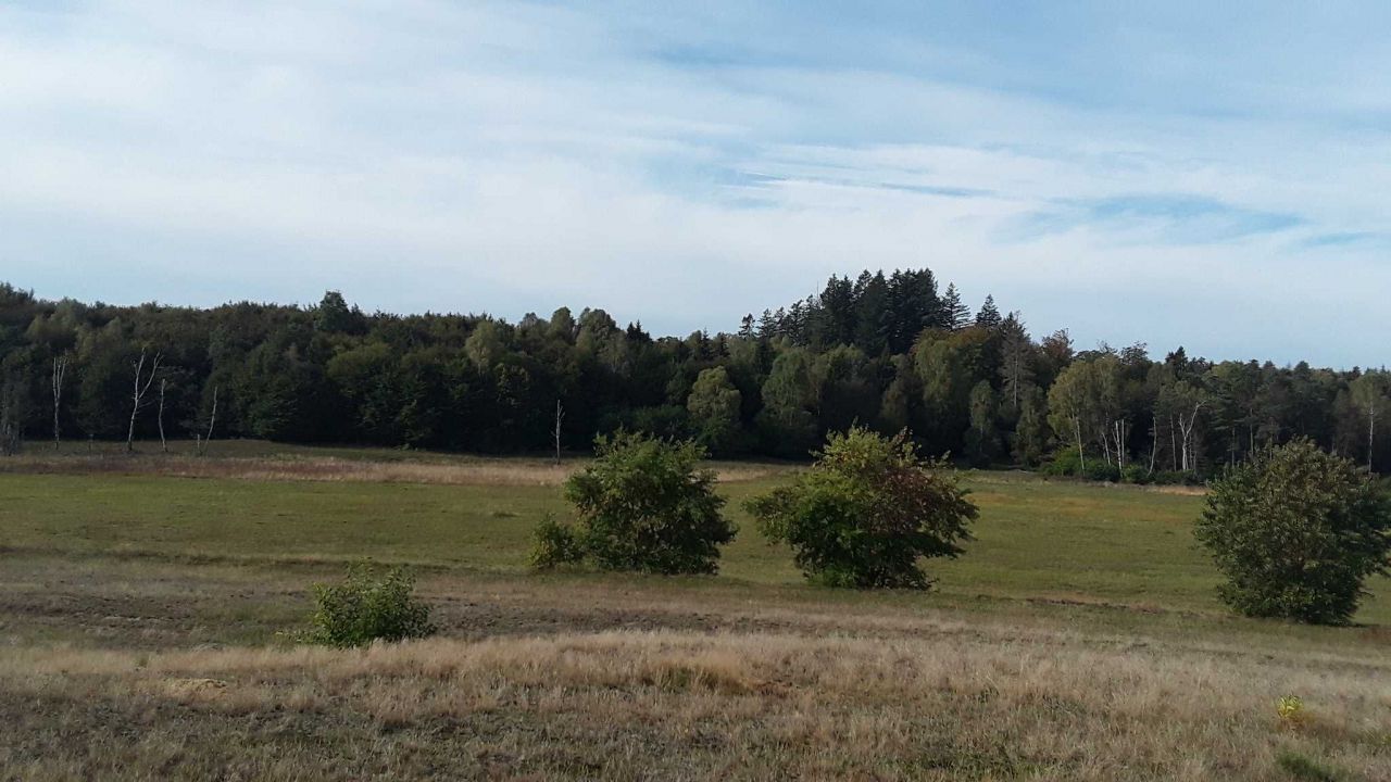 Działka rolna Darżkowo. Zdjęcie 2