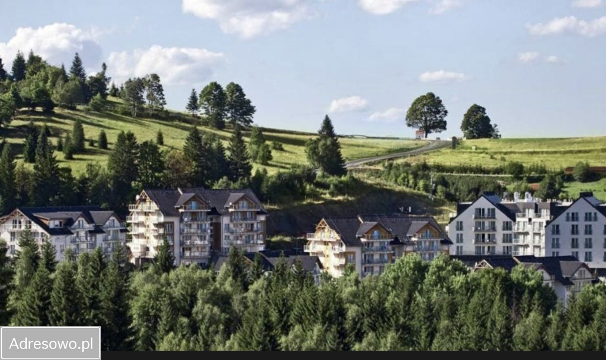 Lokal Sienna. Zdjęcie 8