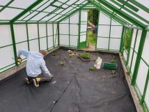 Działka rod Gdynia Mały Kack, ul. Witolda. Zdjęcie 1