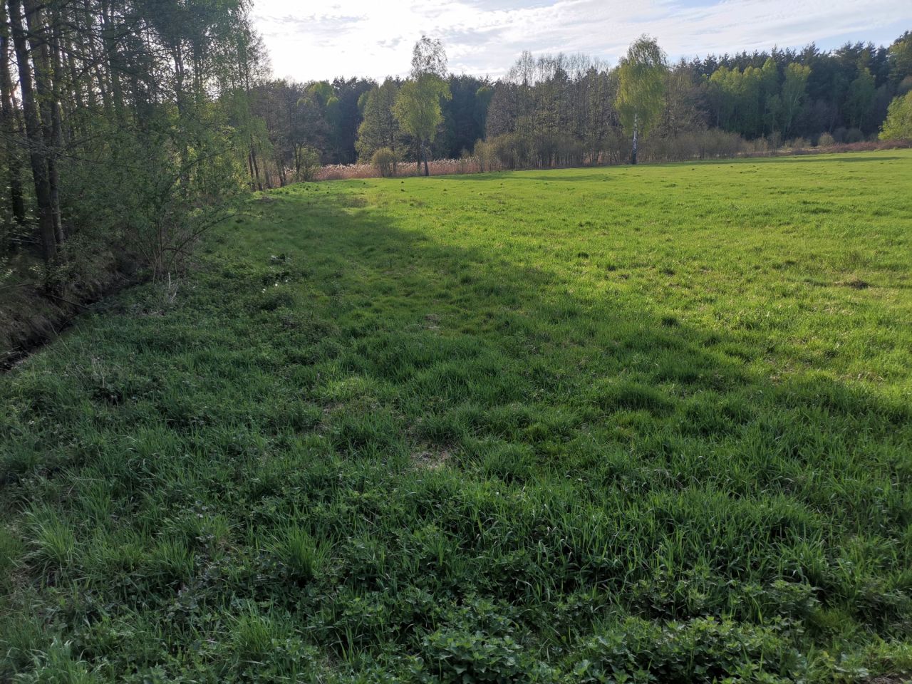 Działka budowlana Bujny Księże. Zdjęcie 9
