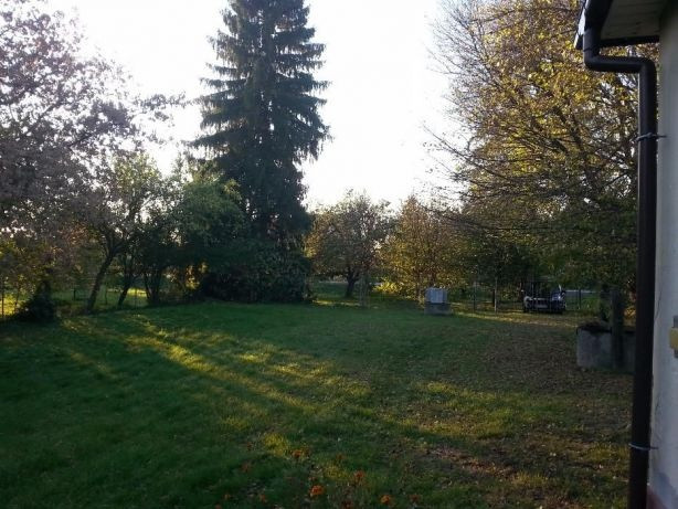 Działka rolno-budowlana Szopinek. Zdjęcie 6