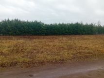 Działka budowlana Wroników. Zdjęcie 1