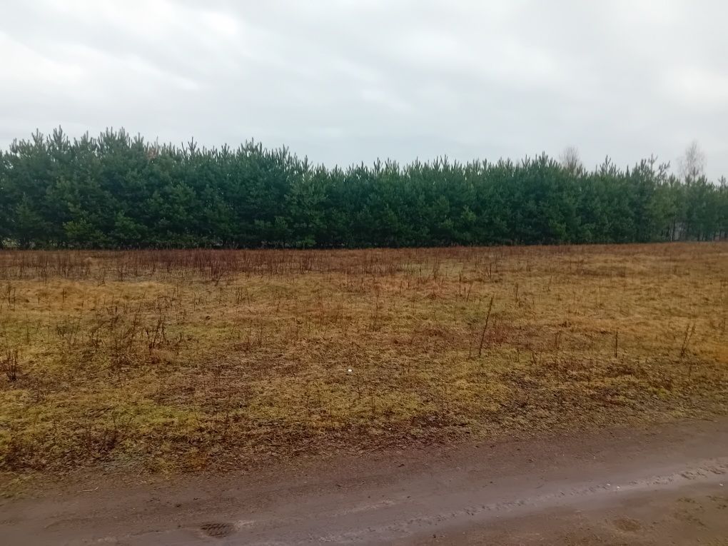 Działka budowlana Wroników. Zdjęcie 2