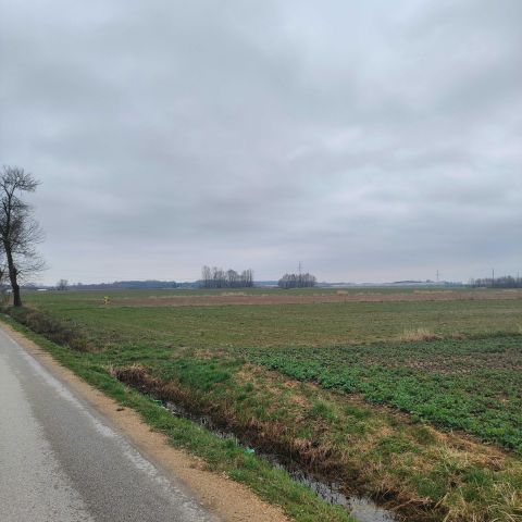 Działka budowlana Marzenin, ul. Wrzesińska. Zdjęcie 1